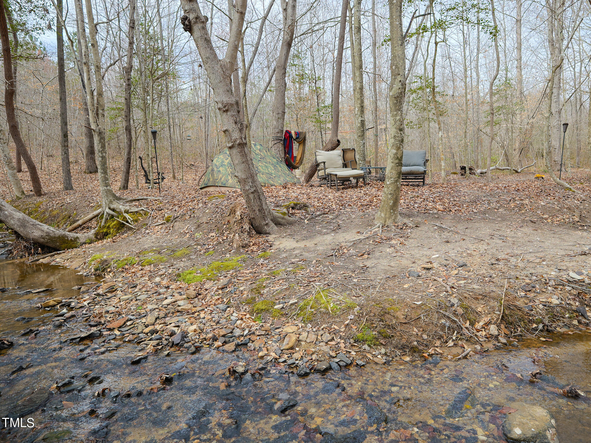 310 Sutton Road Louisburg, NC 27549 - Photo 14 of 50 102_310_Sutton_Rd_Natural_Area