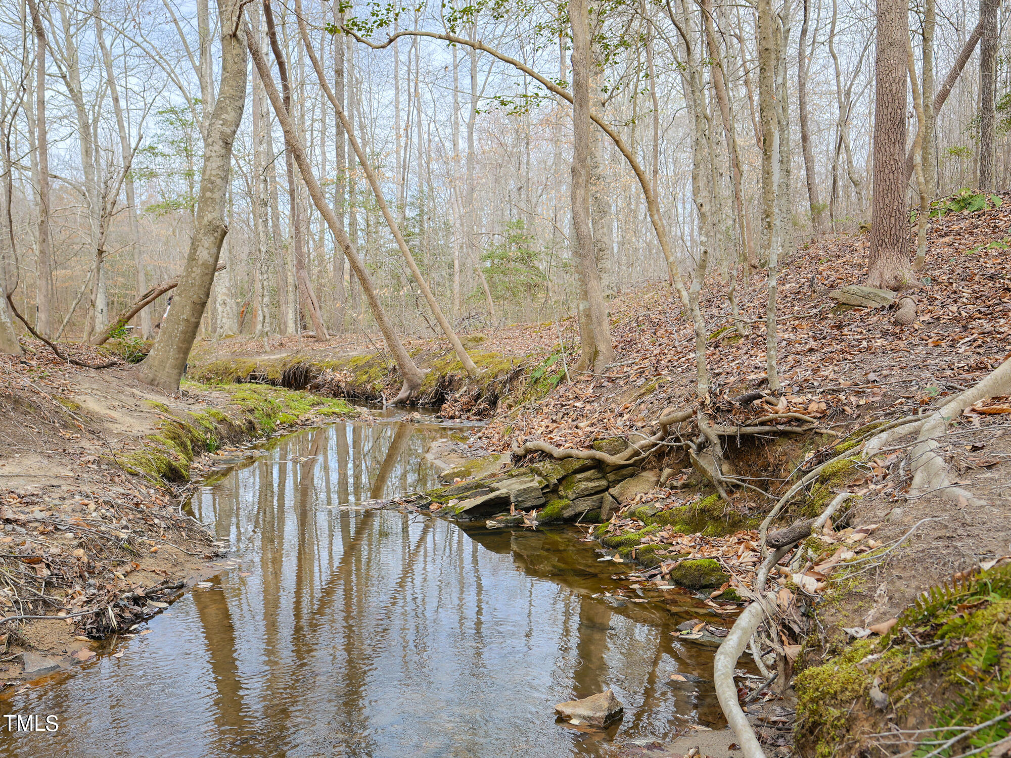 310 Sutton Road Louisburg, NC 27549 - Photo 15 of 50 104_310_Sutton_Rd_Natural_Area