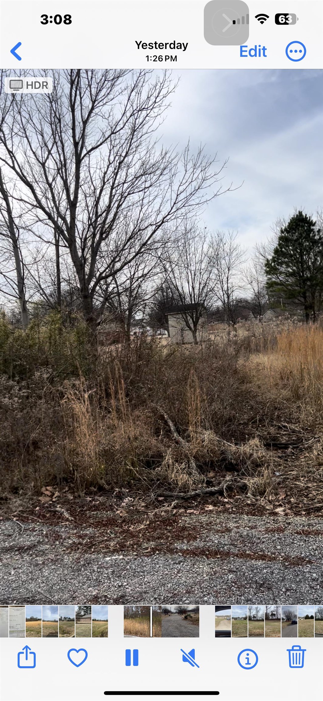 a view of a yard with an oven
