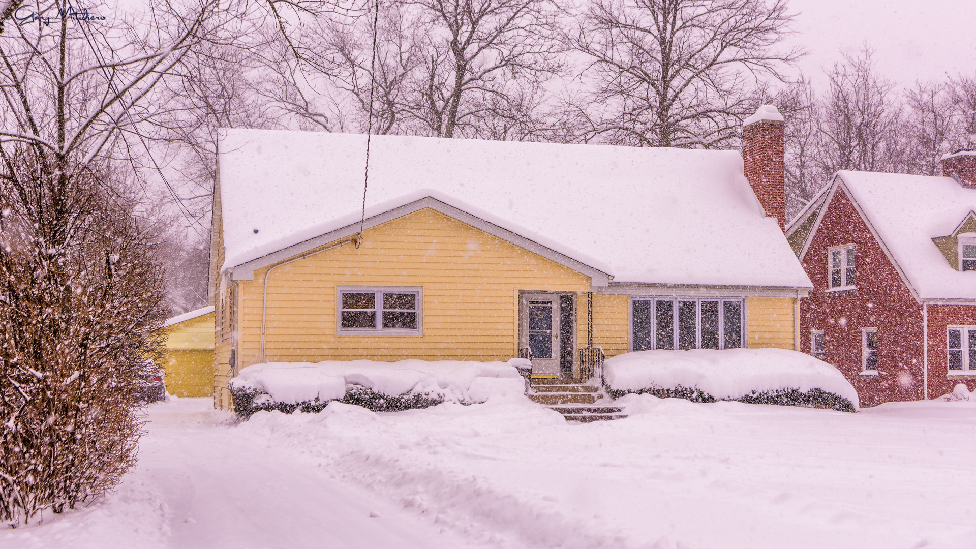 1725 Terrace Road Homewood, IL 60430 - Photo 19 of 19