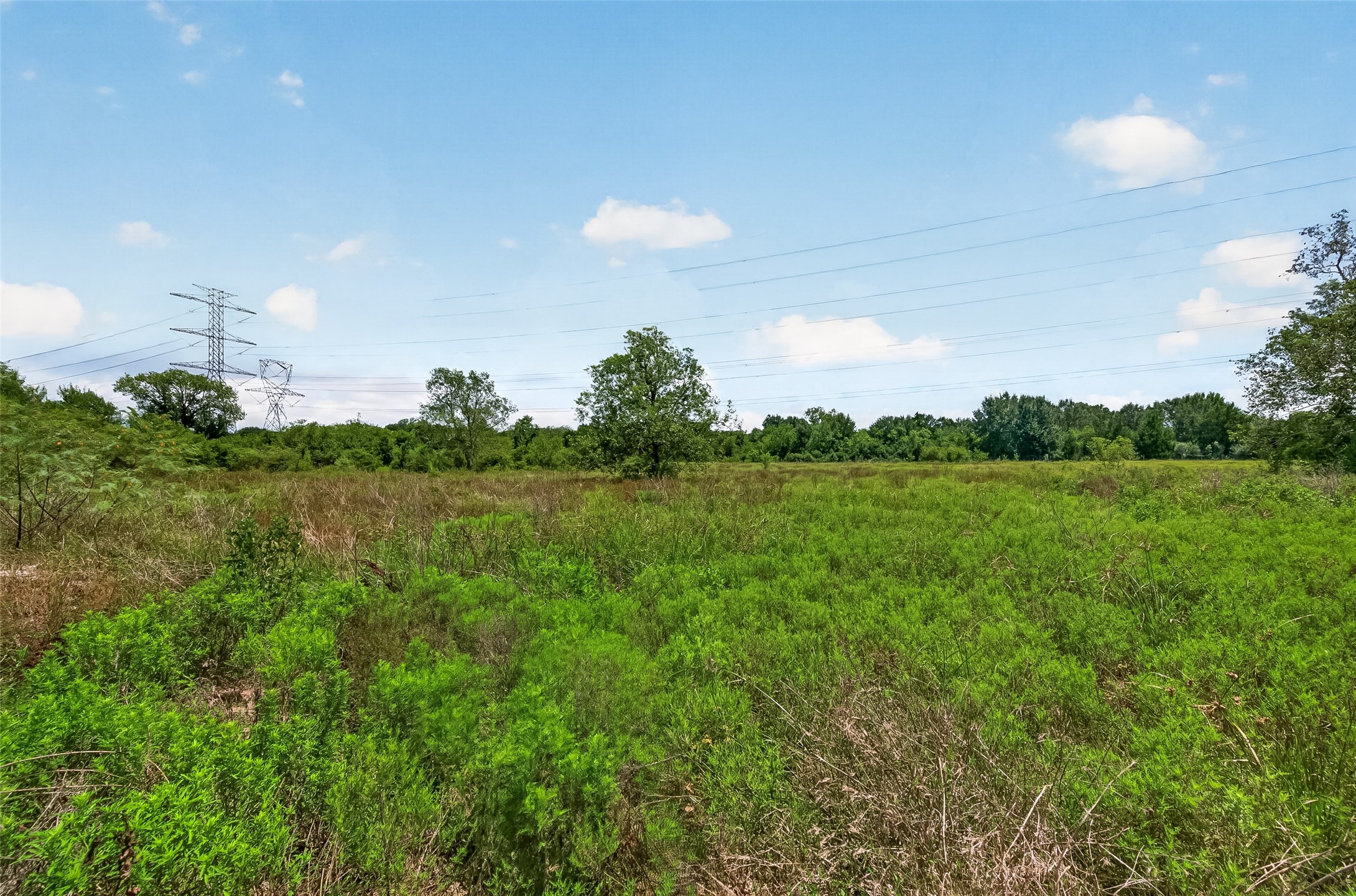 13509 Krueger Road Guy, TX 77444 - Photo 4 of 18 Gallery Image 4