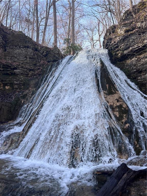 0 Maple Hill Lane Chickamauga, GA 30707 - Photo 27 of 39 a view of a yard with an outdoor space
