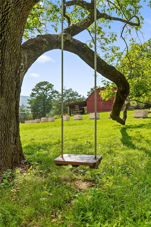 0 Maple Hill Lane Chickamauga, GA 30707 - Photo 3 of 39 a view of a park with a slide