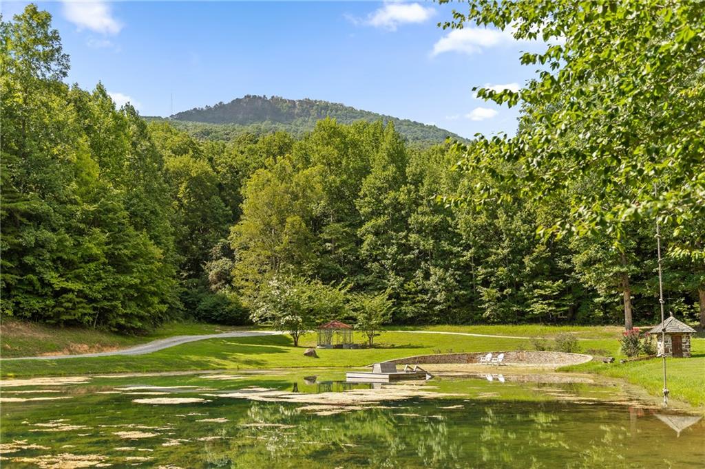 0 Maple Hill Lane Chickamauga, GA 30707 - Photo 32 of 39 a view of a city with lush green forest