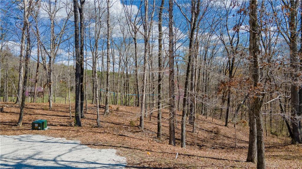 0 Maple Hill Lane Chickamauga, GA 30707 - Photo 37 of 39 a view of a outdoor space