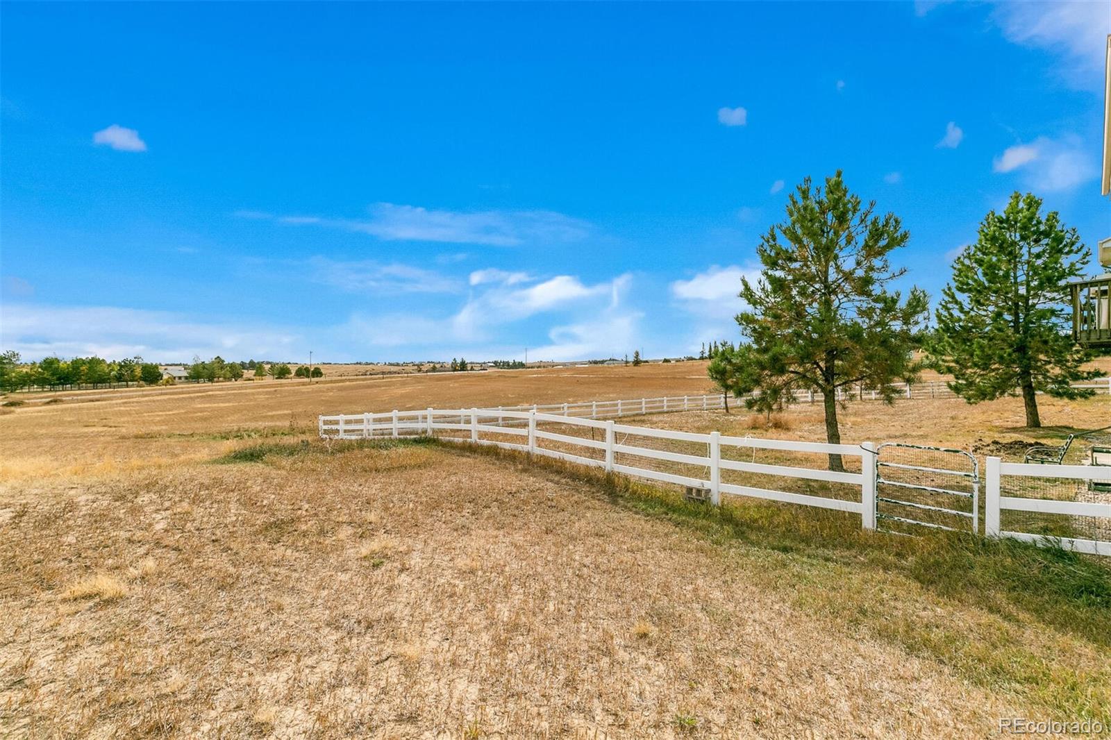 8220 North Saguaro Ridge Road Parker, CO 80138 - Photo 37 of 40 Gallery Image 37
