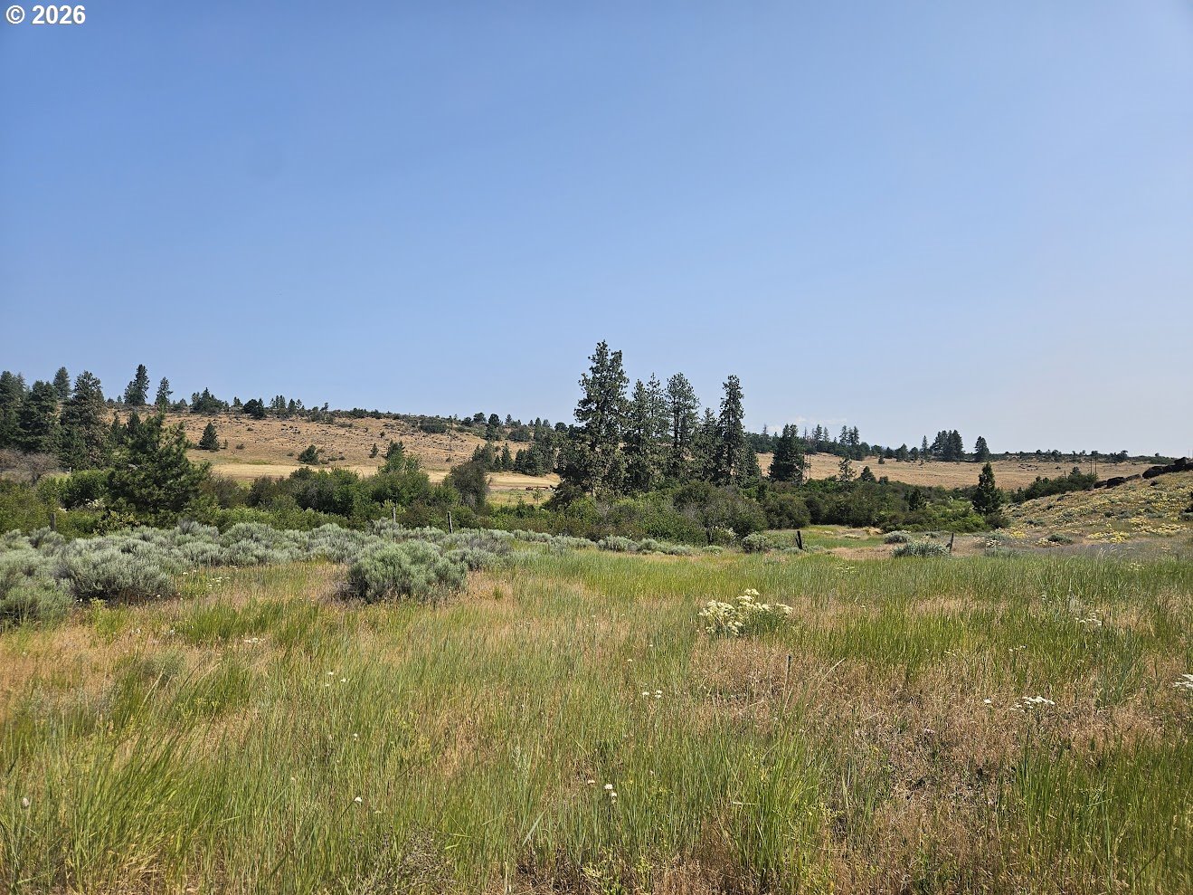 Olson Road Centerville, WA 98613 - Photo 8 of 25
