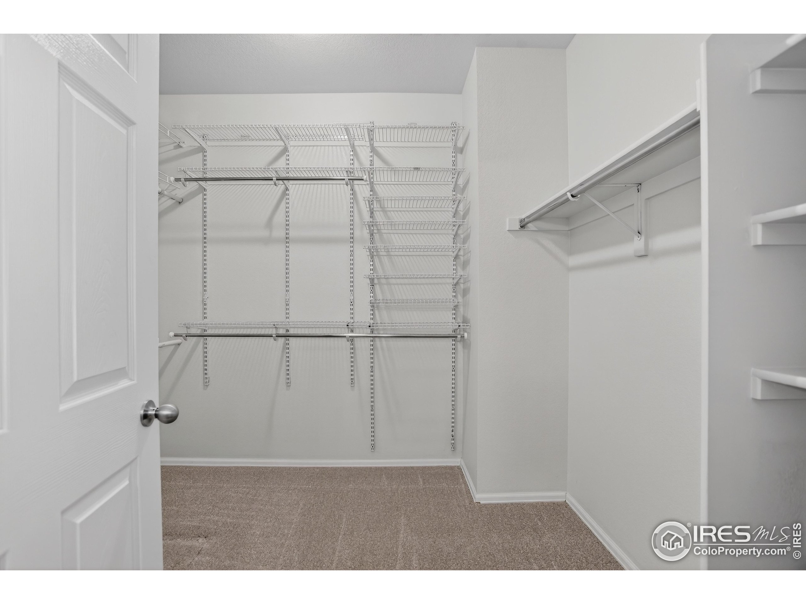 6734 Grainery Road Timnath, CO 80547 - Photo 23 of 44