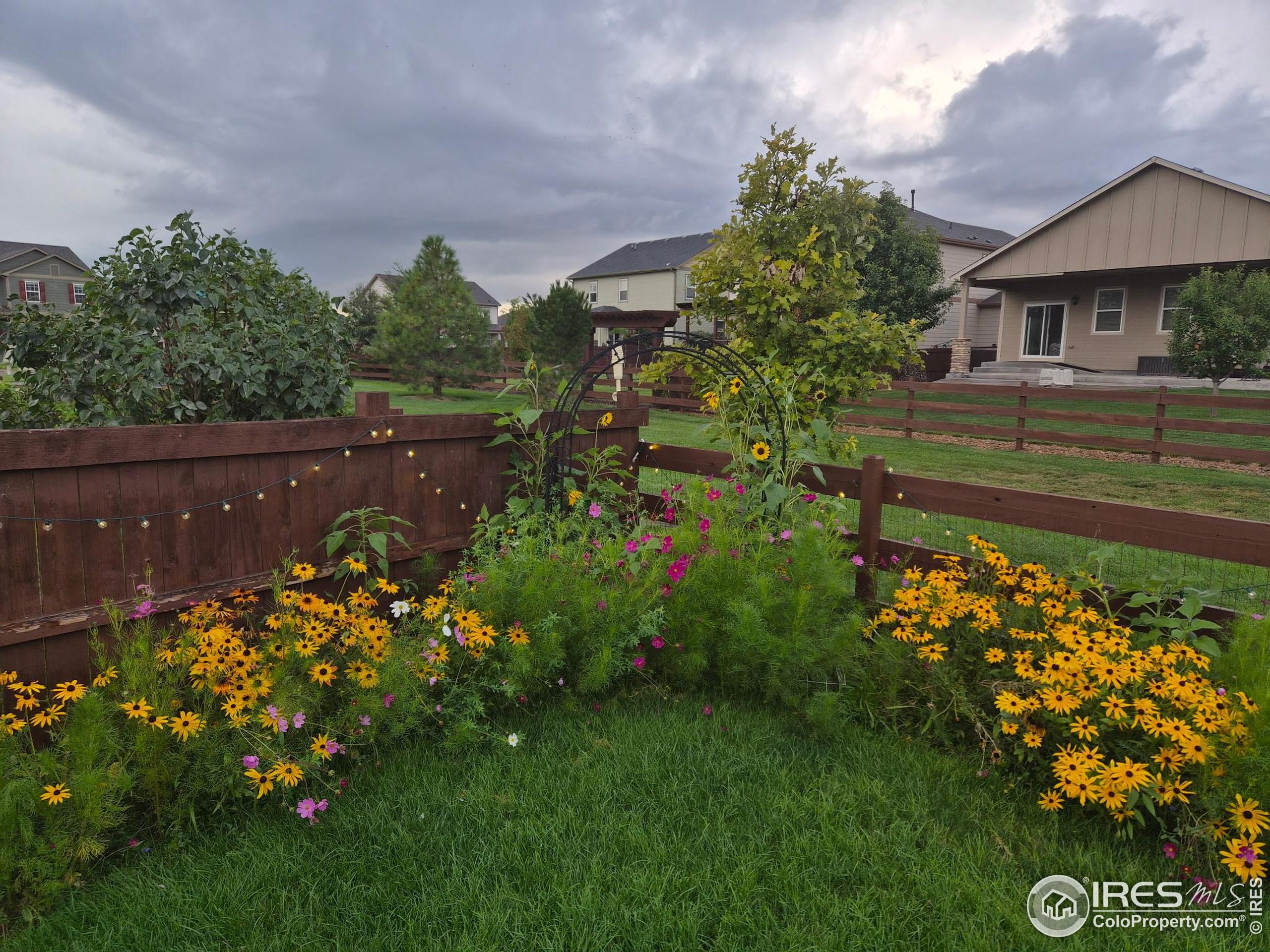 6734 Grainery Road Timnath, CO 80547 - Photo 38 of 44