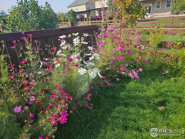 $560,000 | 6734 Grainery Road, Timnath, CO 80547