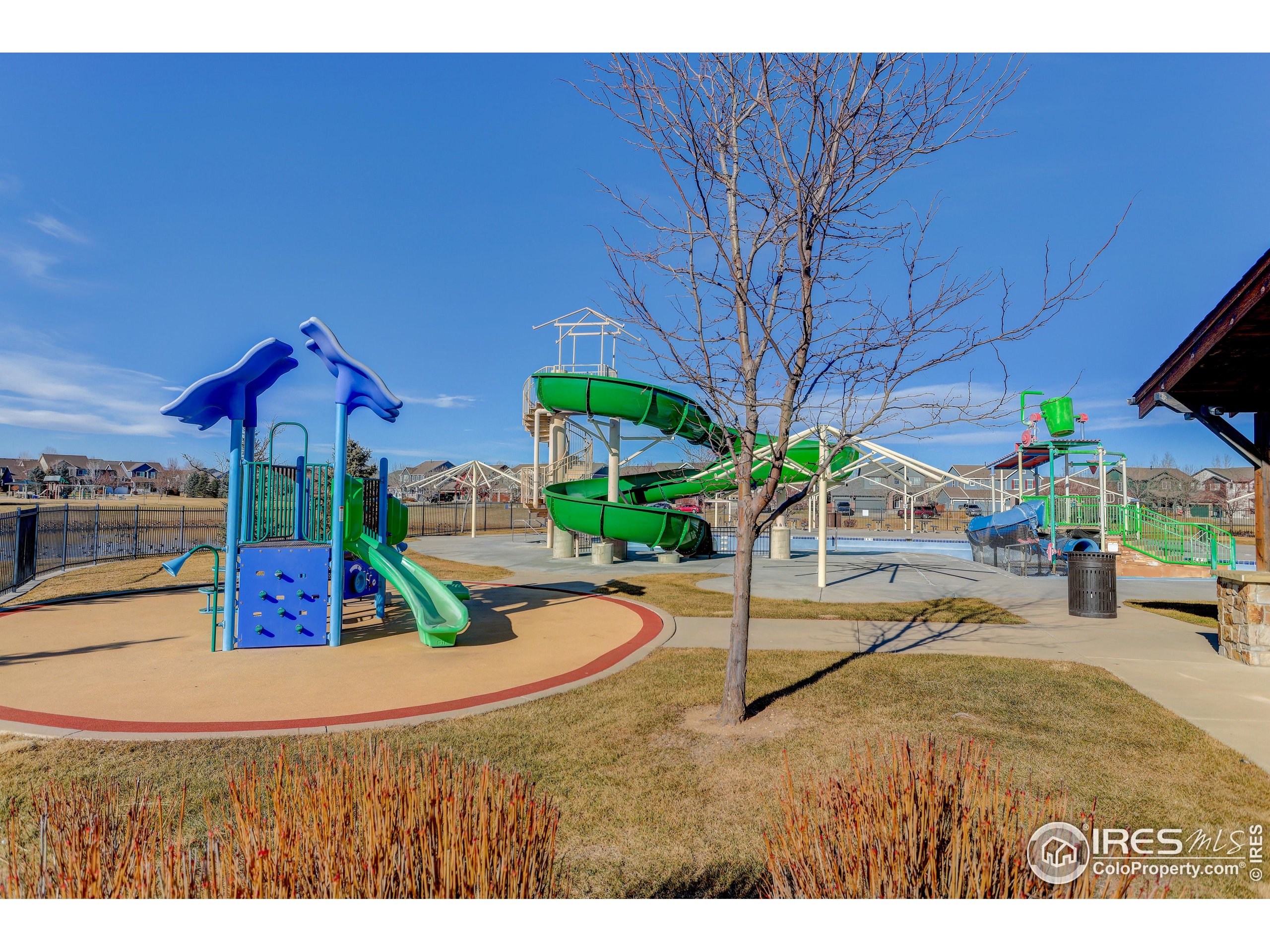 6734 Grainery Road Timnath, CO 80547 - Photo 41 of 44