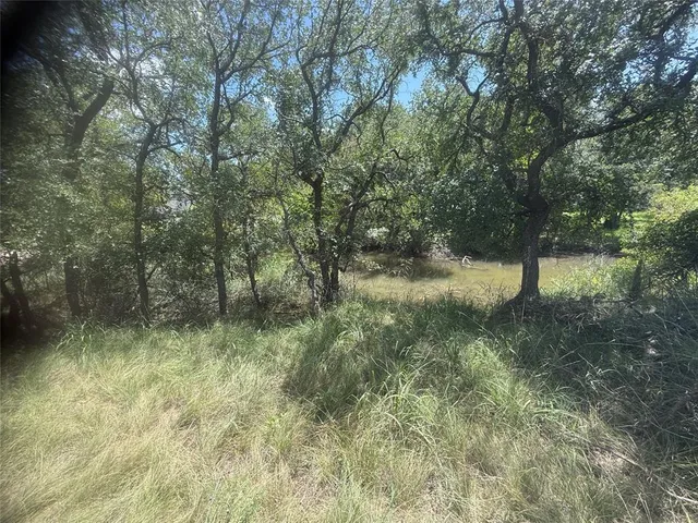 a view of a yard with a tree
