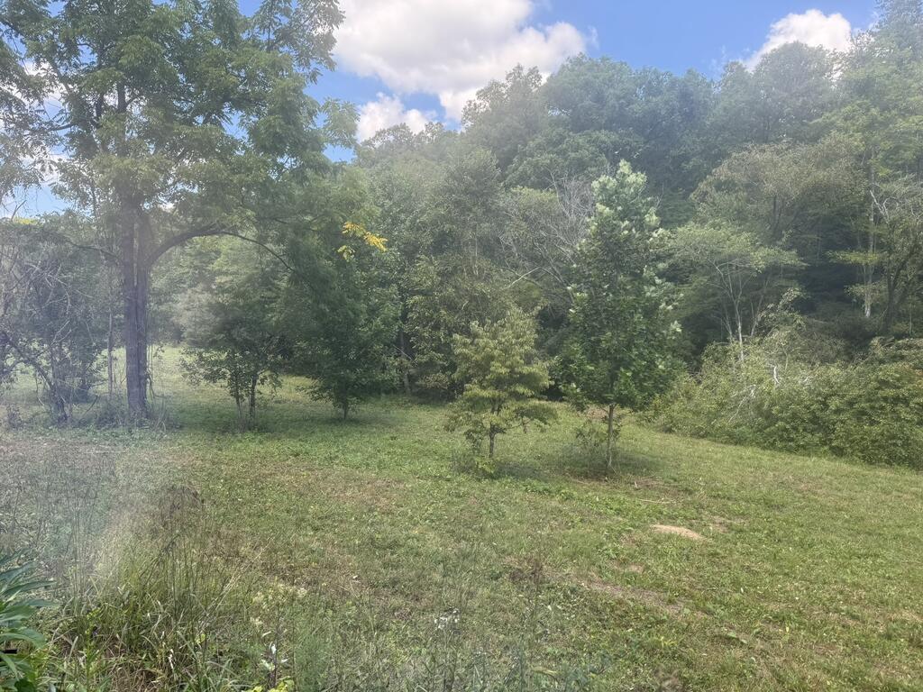 2231 Camp Creek Road Murphy, NC 28906 - Photo 5 of 18 Gallery Image 5