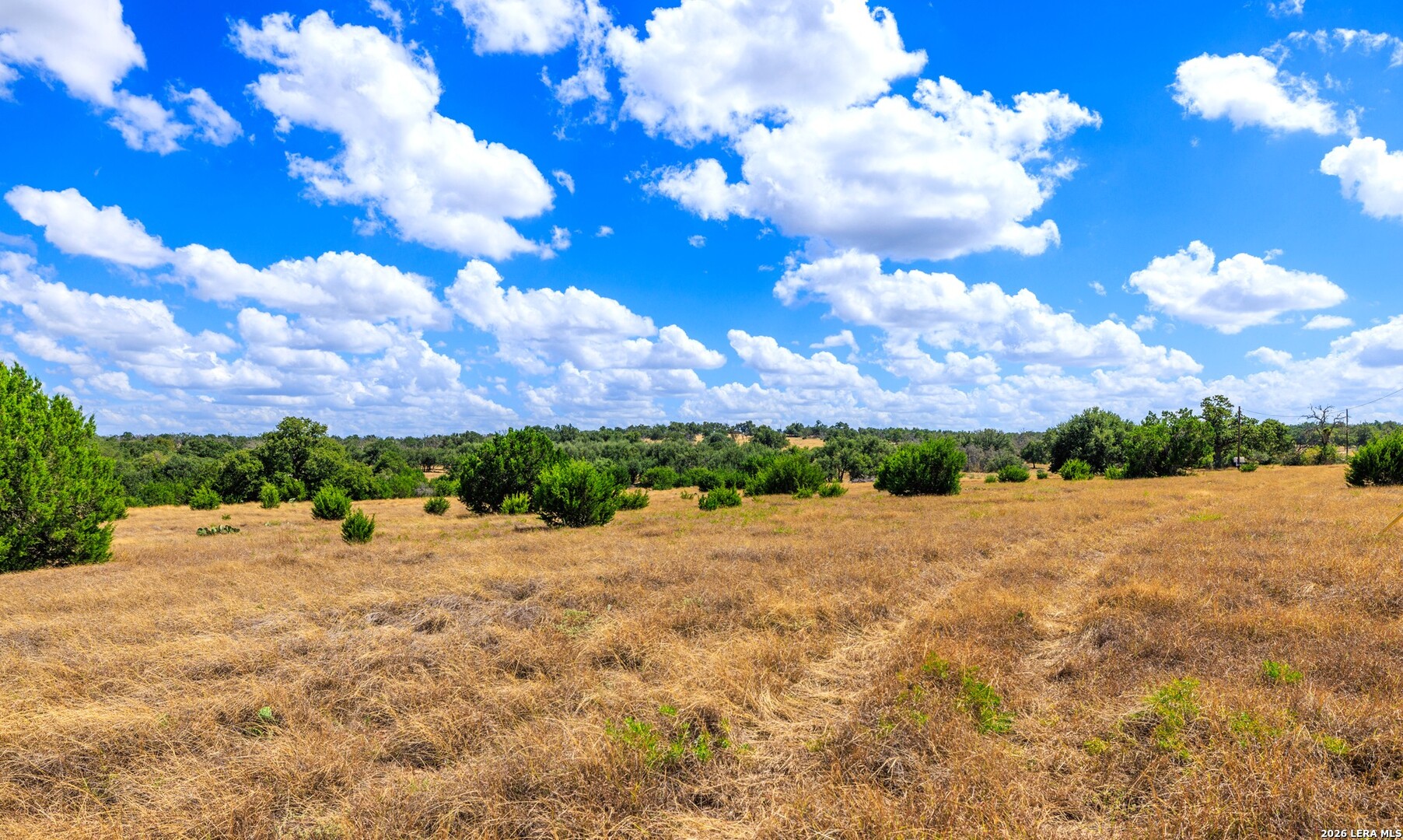 3395 Friedrich Road Fredericksburg, TX 78624 - Photo 19 of 25 Gallery Image 19