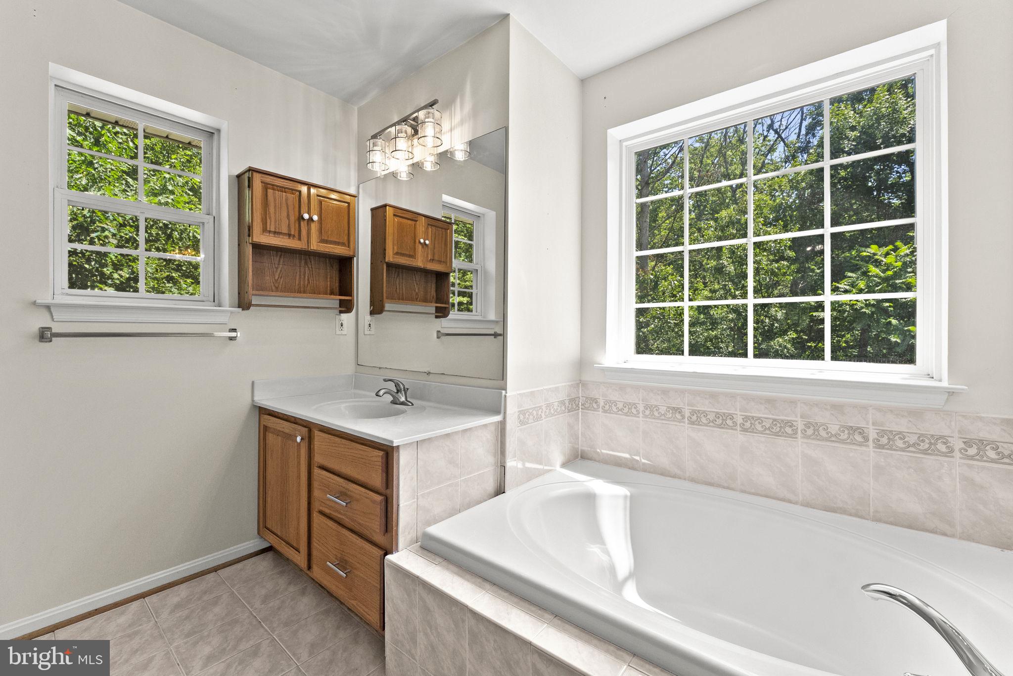10275 Mountain Run Lake Road Culpeper, VA 22701 - Photo 54 of 89