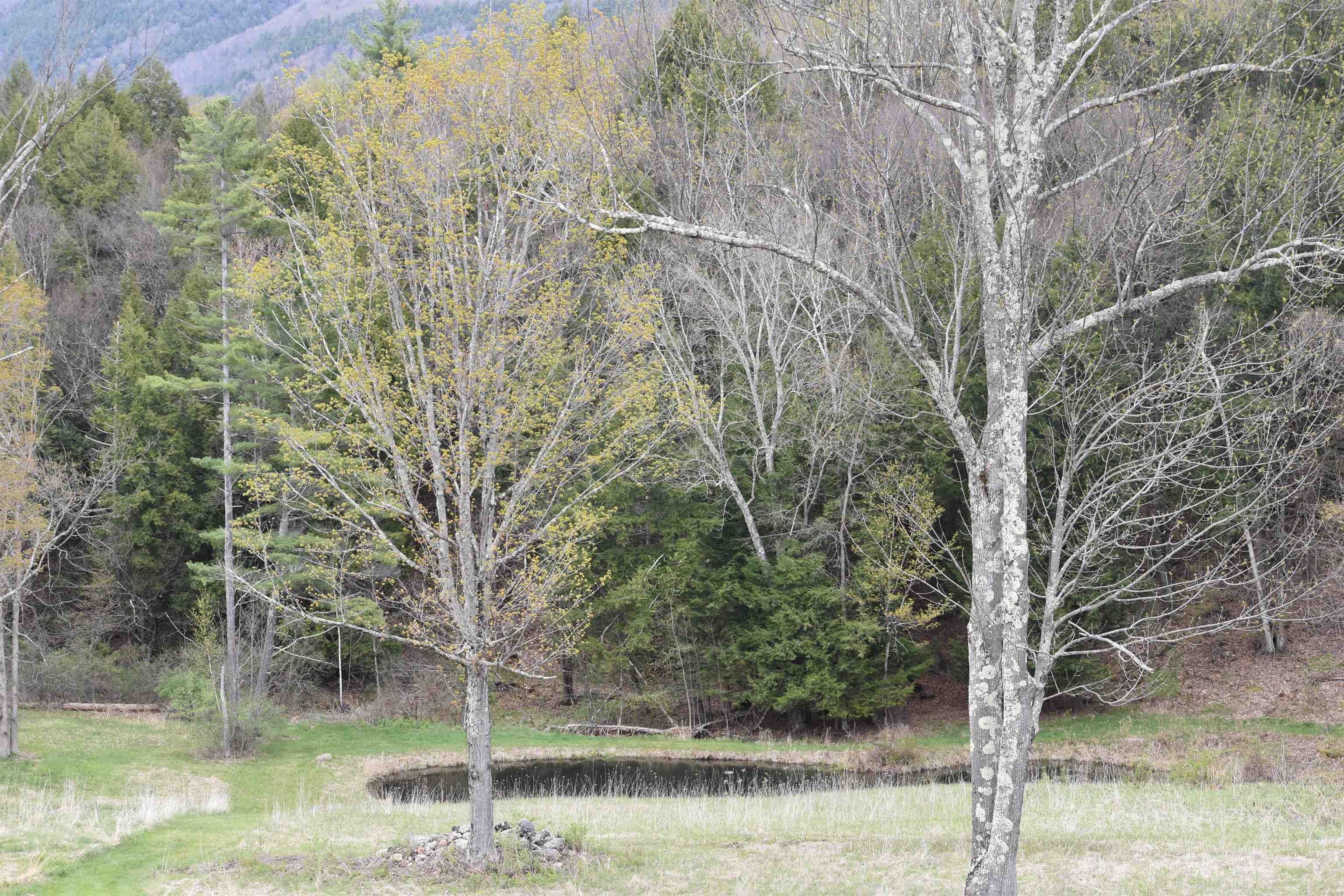 3259 West Hill Road Wallingford, VT 05773 - Photo 43 of 45
