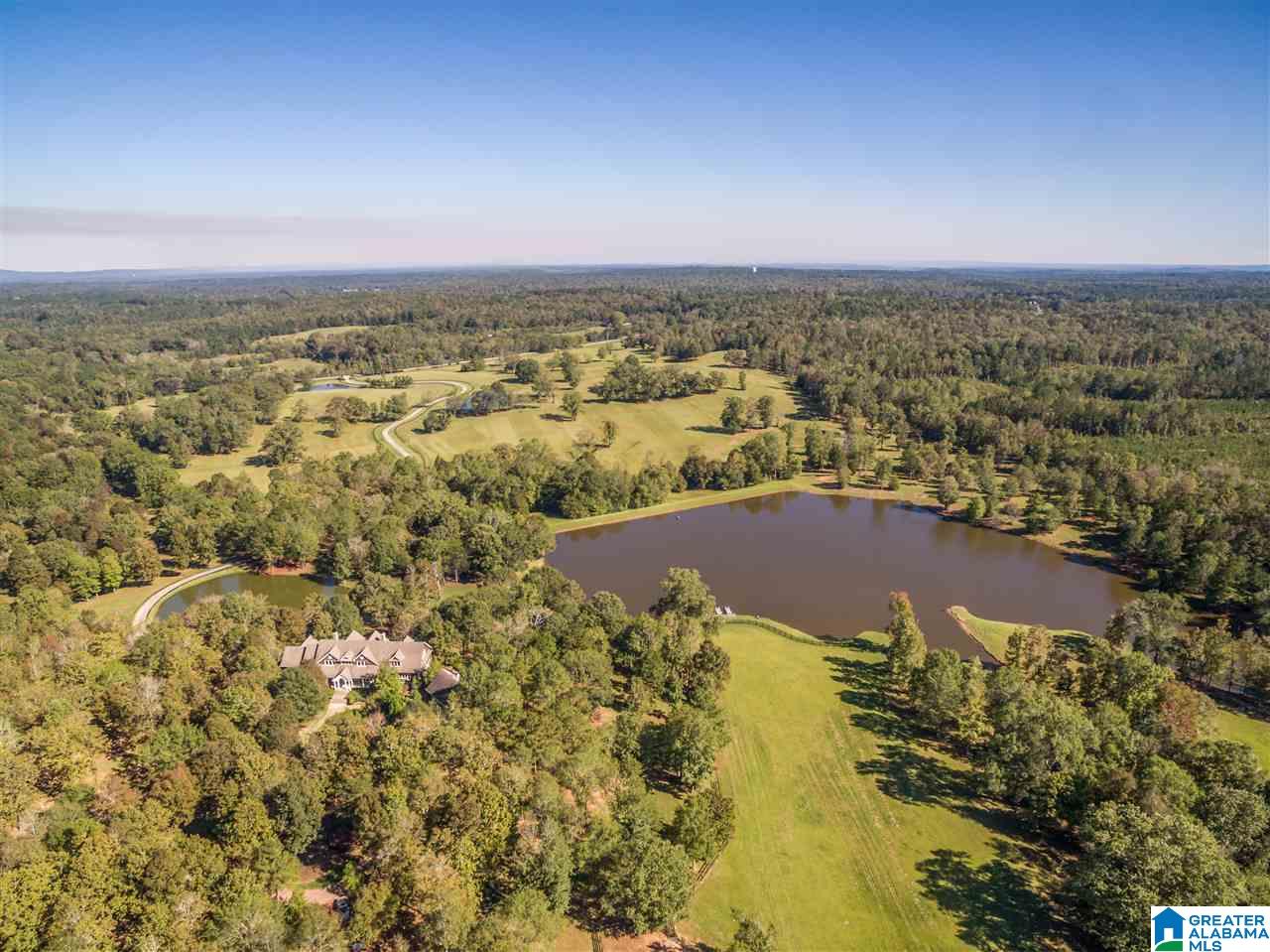 2644 Highway 42 Calera, AL 35040 - Photo 6 of 48