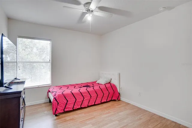 a living room with a couch and a potted plant