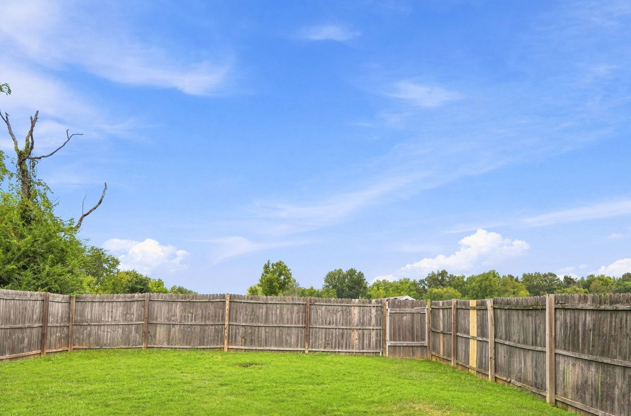 915 East 17th Avenue Springfield, TN 37172 - Photo 25 of 25 Gallery Image 25