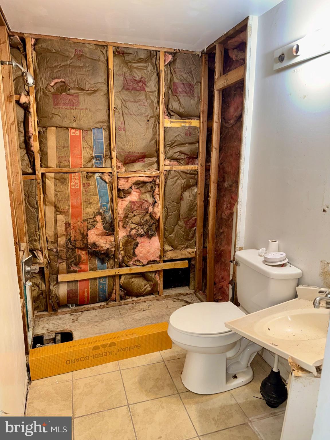 18806 Pine Ridge Lane, Unit 14 Germantown, MD 20874 - Photo 10 of 13 Renovation in progress: bathroom makeover.