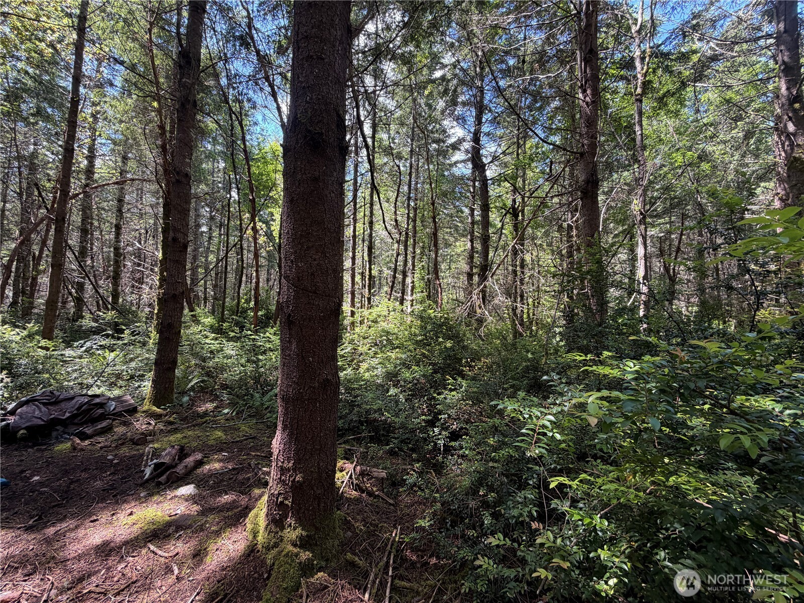178 Geoduck Drive Quilcene, WA 98376 - Photo 6 of 7