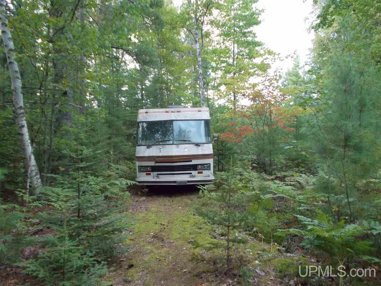 106 Military Road Deerton, MI 49822 - Photo 6 of 8 Gallery Image 6