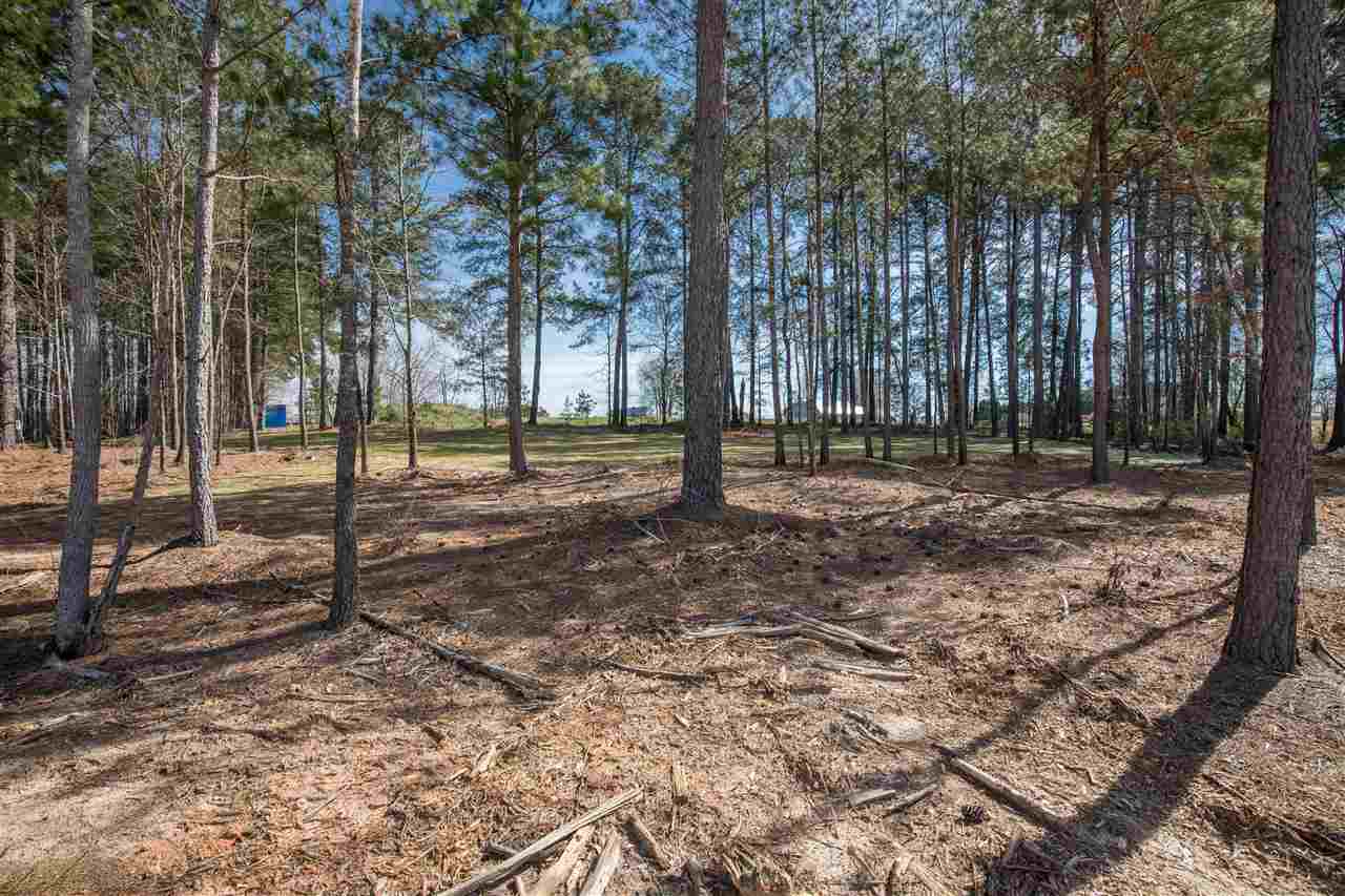 528 Bella Woods Trail Inman, SC 29349 - Photo 20 of 24 Gallery Image 20