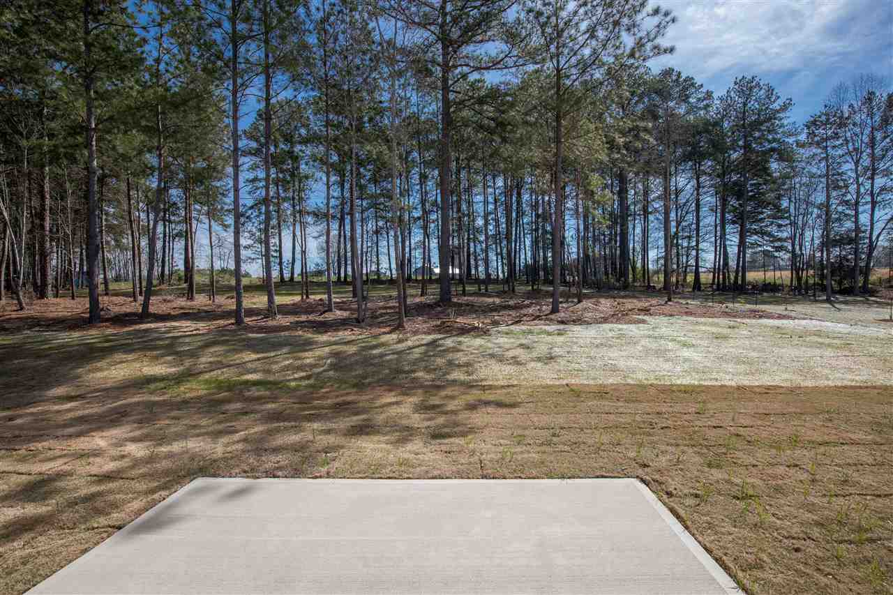 half acre lot with trees