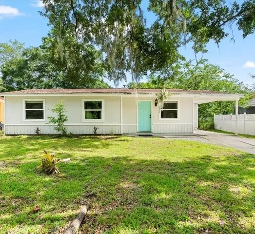 a view of a backyard with plants and large tree