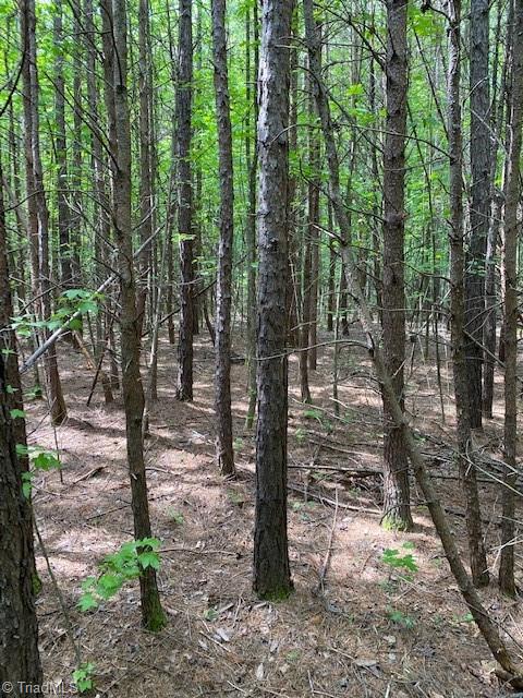 8013 A Clinard Farms Road High Point, NC 27265 - Photo 3 of 11
