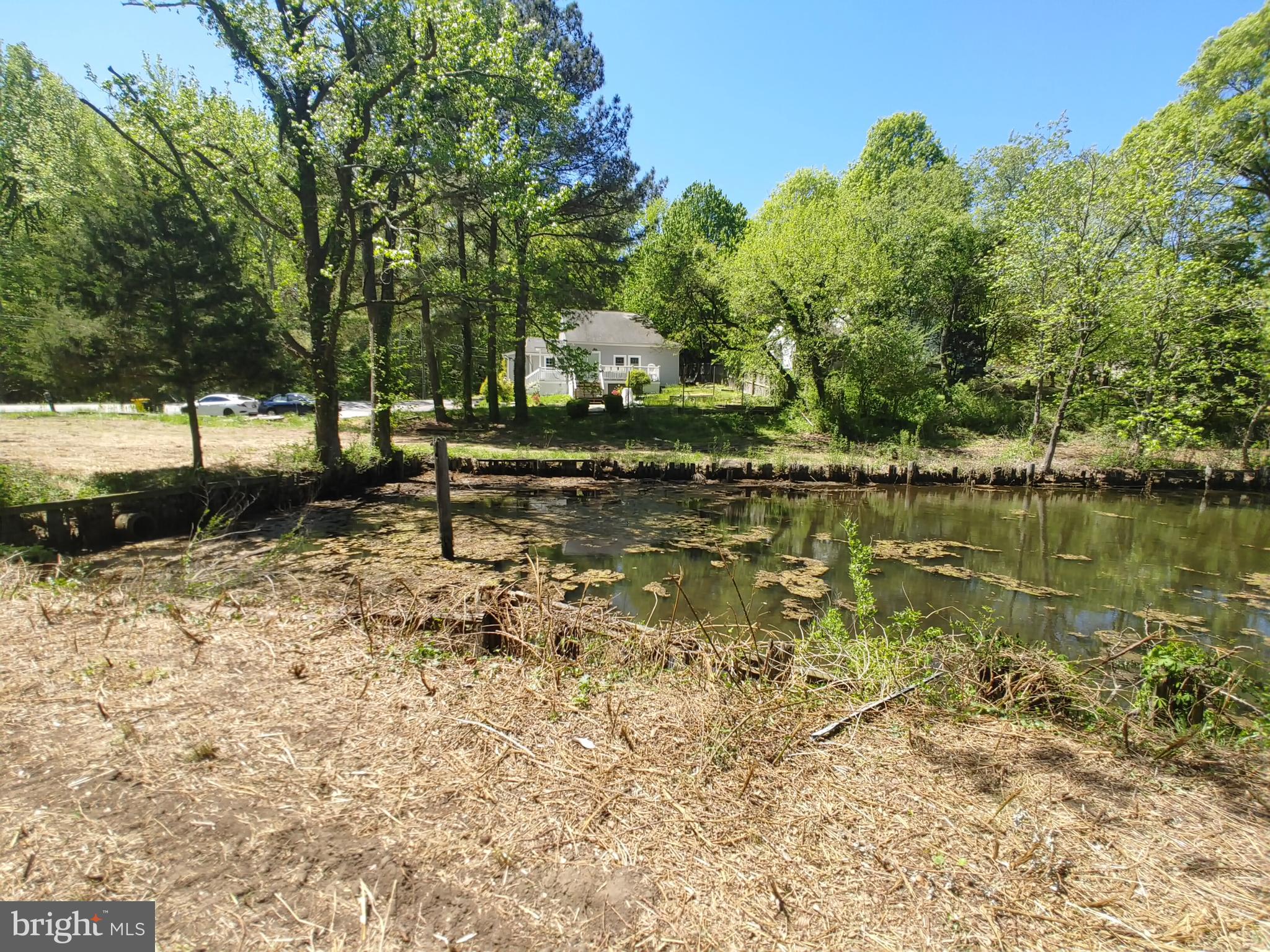 4180 Shoreham Beach Road Edgewater, MD 21037 - Photo 11 of 26 a backyard of a house with lots of green space