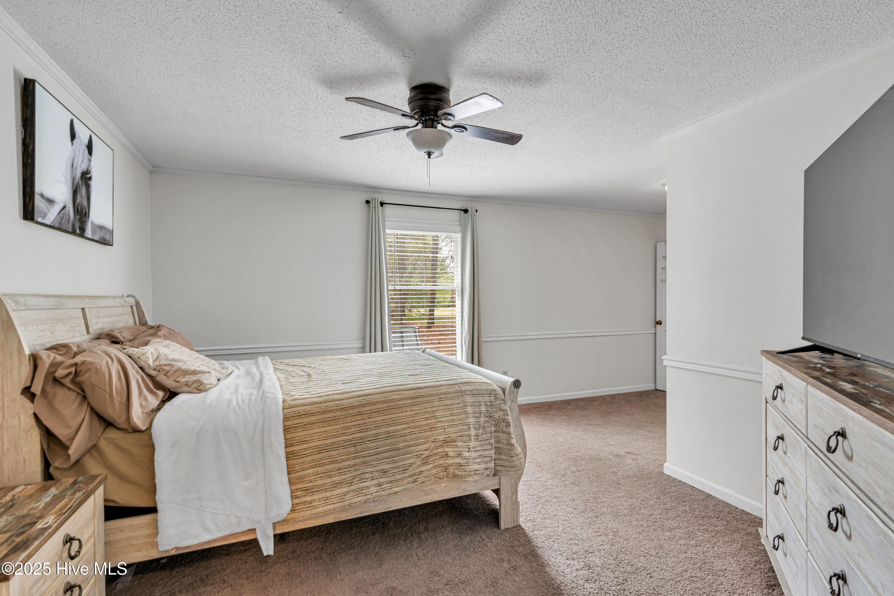 770 Sumner Road Pink Hill, NC 28572 - Photo 29 of 43 DSC_4714