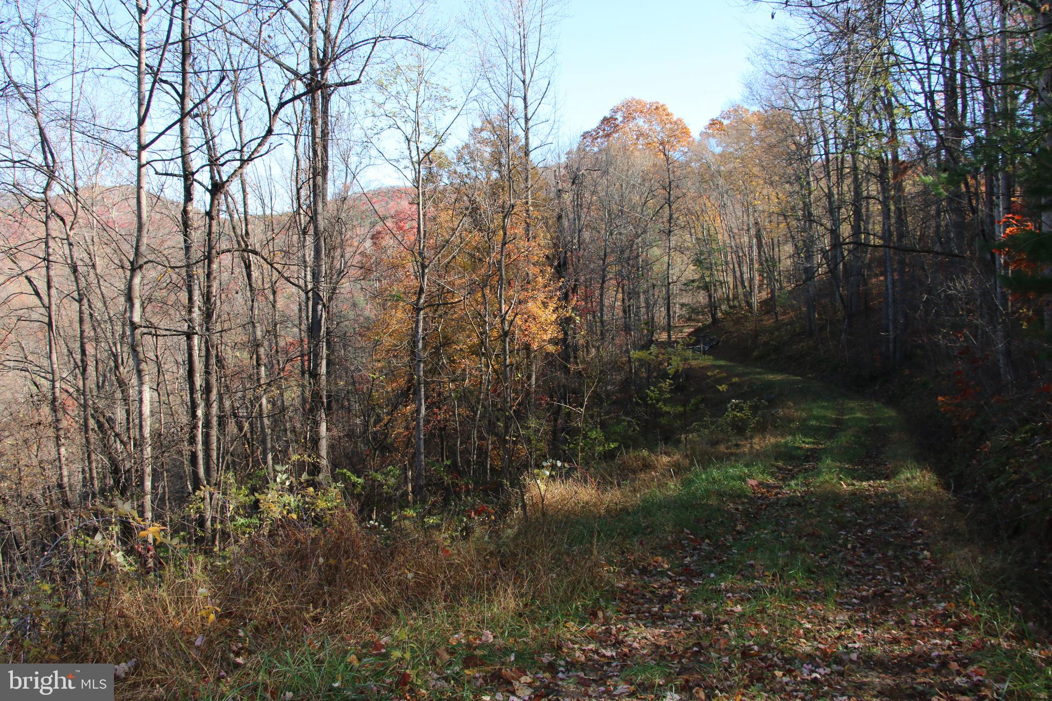 0 Overlook Mountain Road Elkton, VA 22827 - Photo 15 of 19 Gallery Image 15