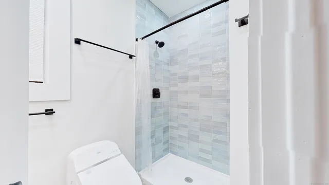 a bathroom with a shower and toilet