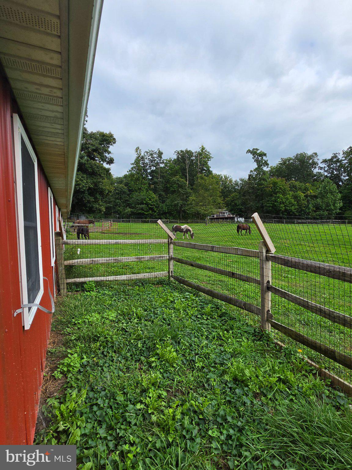 1116 Telegraph Road Coatesville, PA 19320 - Photo 11 of 11 Dog area