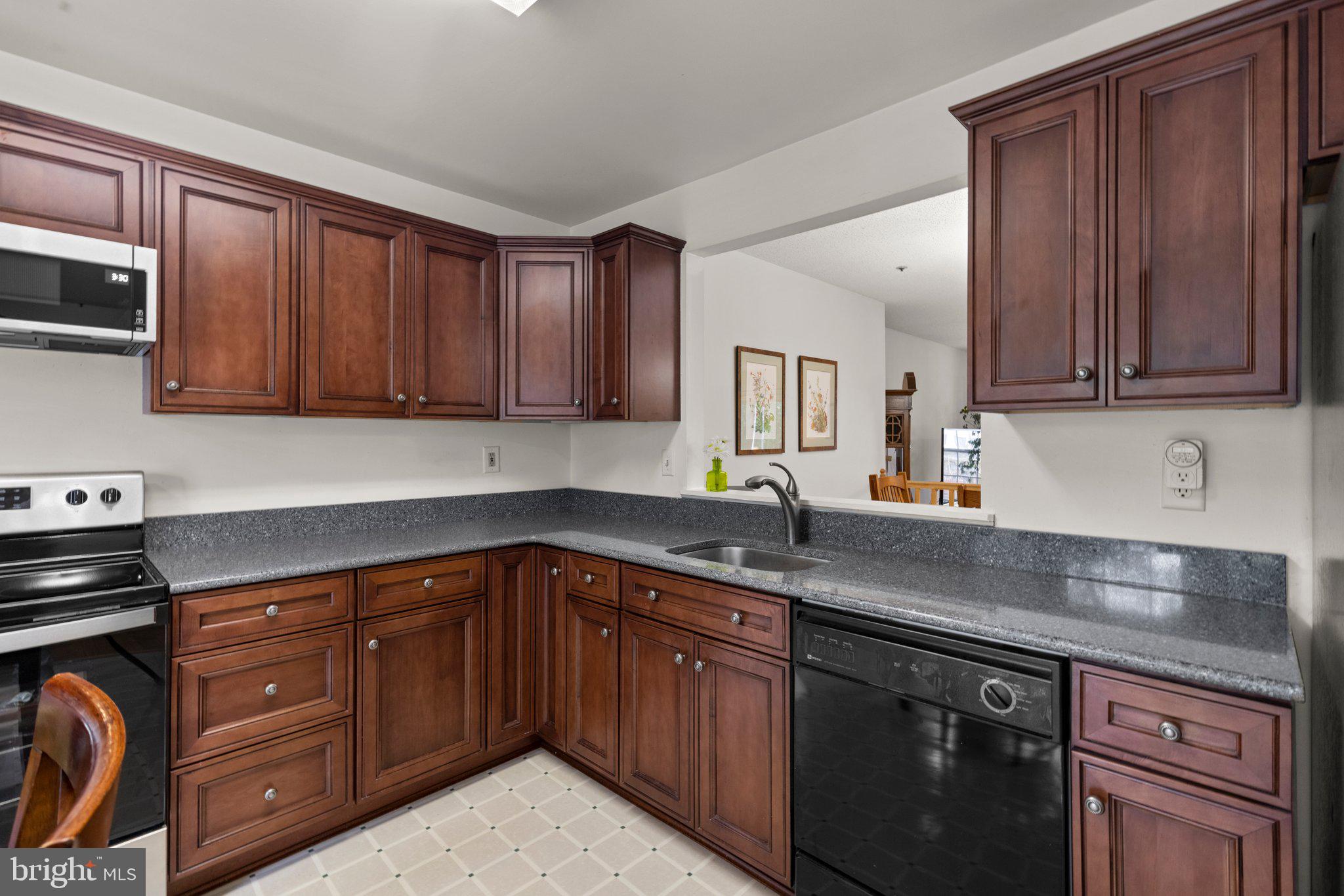1510 Arcola Court Crofton, MD 21114 - Photo 4 of 29 Gorgeous Corian counters.
