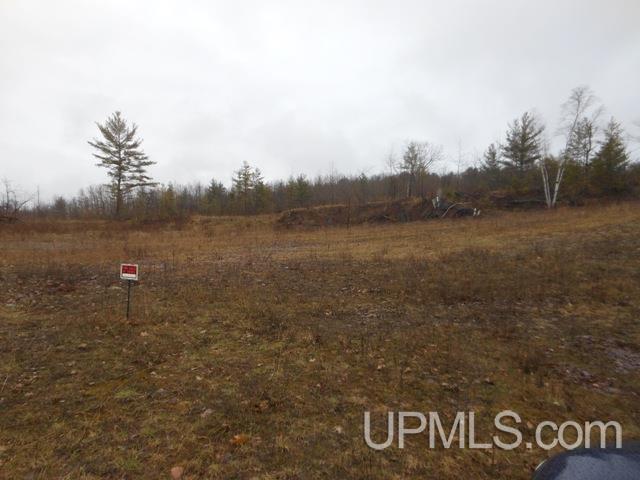 Brier Mountain Road Norway, MI 49870 - Photo 1 of 2
