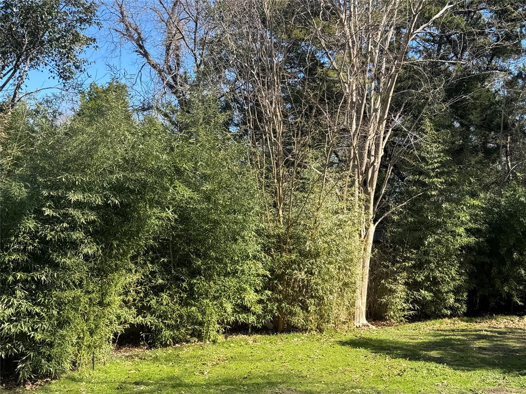 6867 Gaston Avenue Dallas, TX 75214 - Photo 26 of 26