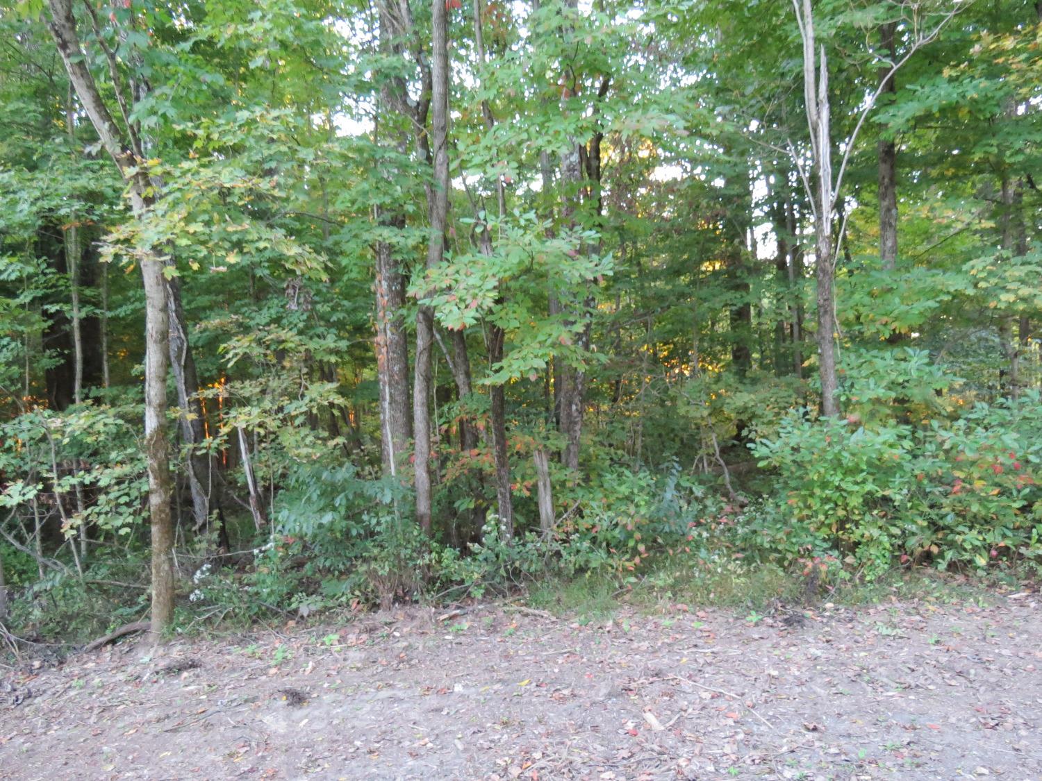 0 Benham Road Madison, IN 47250 - Photo 11 of 28 Gallery Image 11