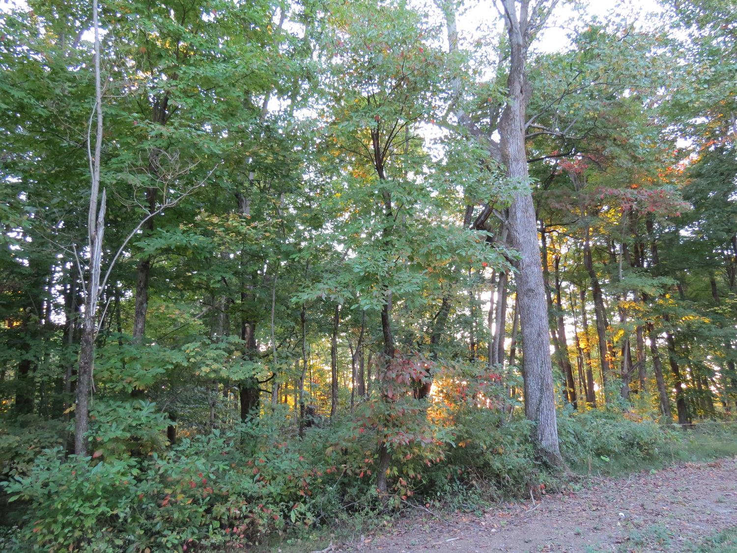 0 Benham Road Madison, IN 47250 - Photo 14 of 28 Gallery Image 14
