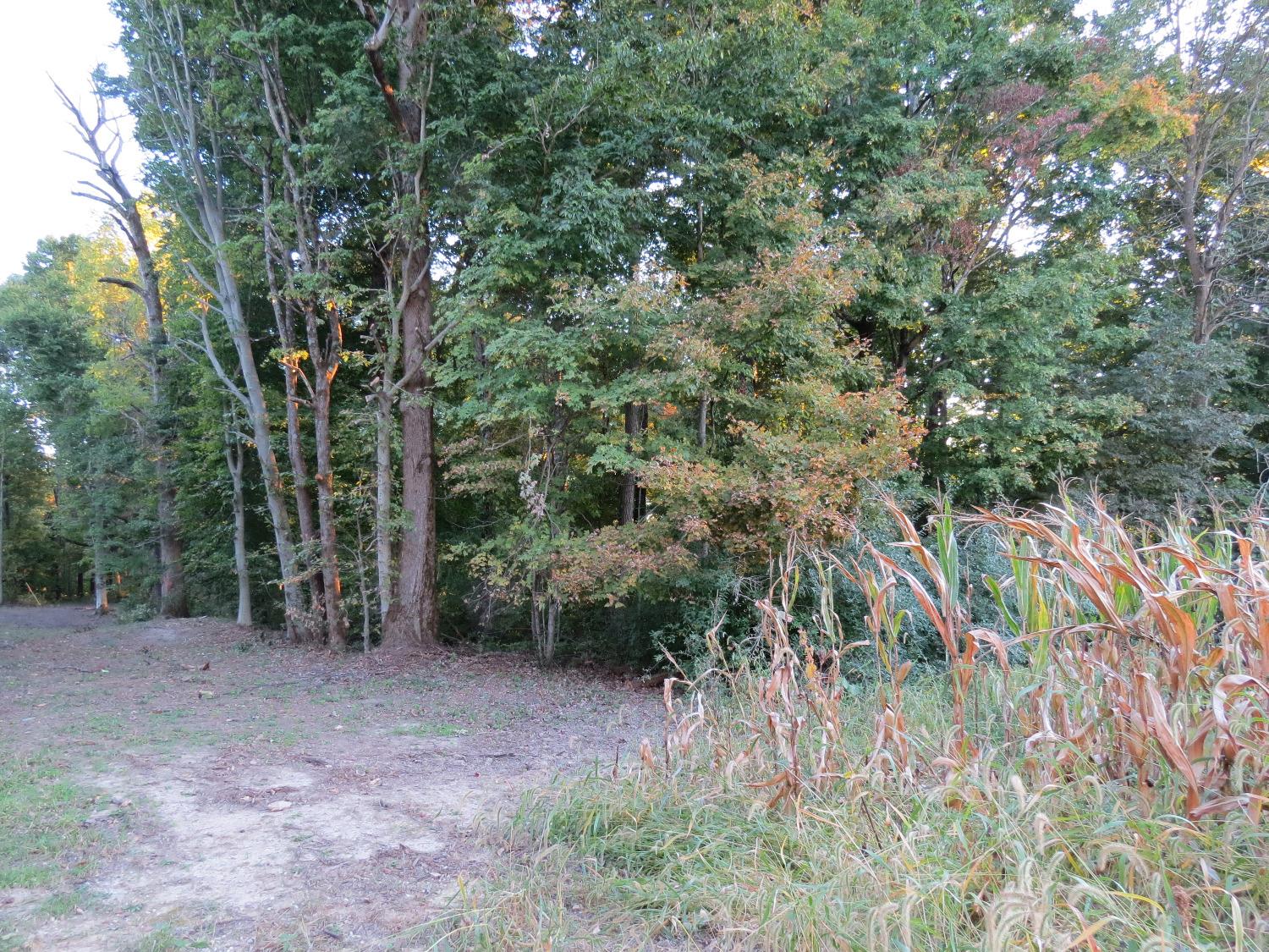 0 Benham Road Madison, IN 47250 - Photo 6 of 28 Gallery Image 6