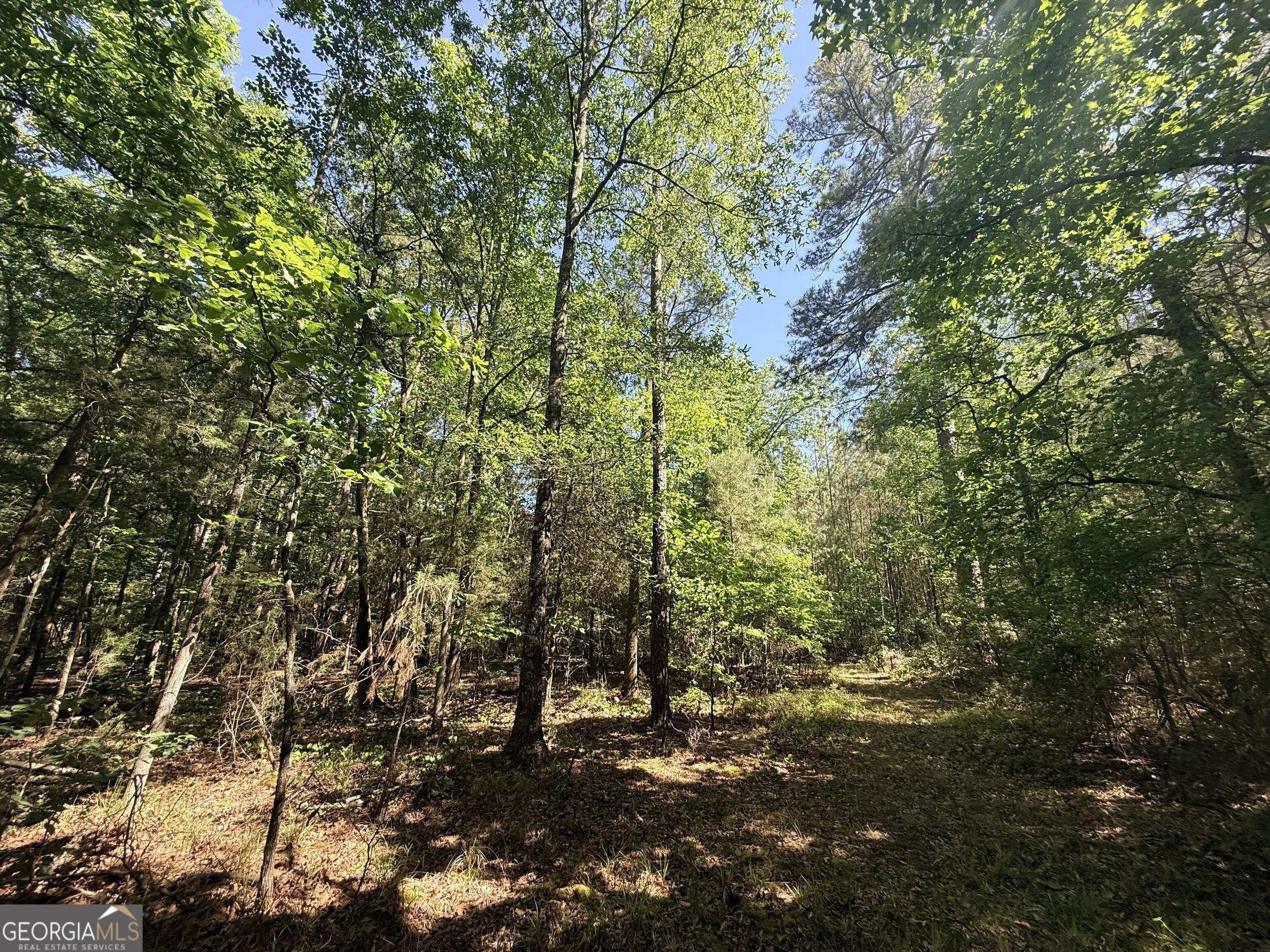 580 Saggus Road Washington, GA 30673 - Photo 35 of 54