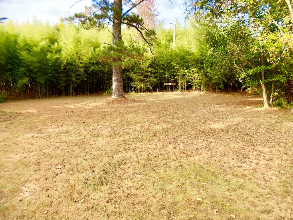 1222 Furys Ferry Road Evans, GA 30809 - Photo 44 of 49