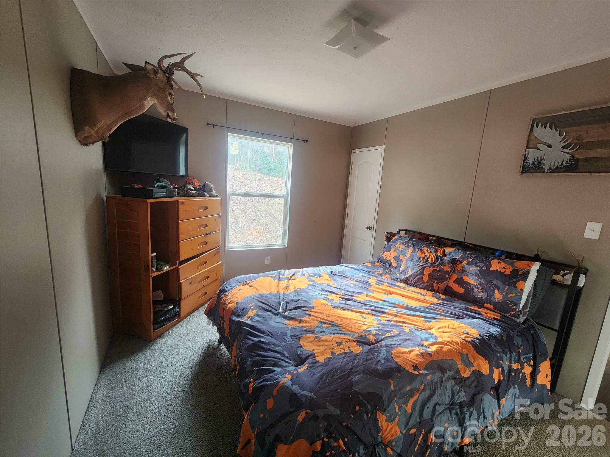659 Cold Creek Road Canton, NC 28716 - Photo 26 of 37 a bedroom with a bed and tv