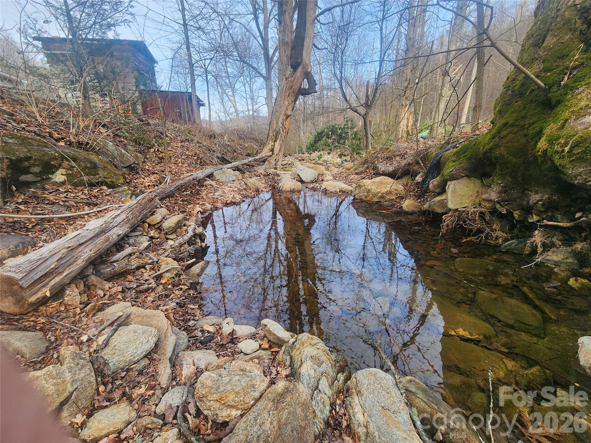 659 Cold Creek Road Canton, NC 28716 - Photo 33 of 37