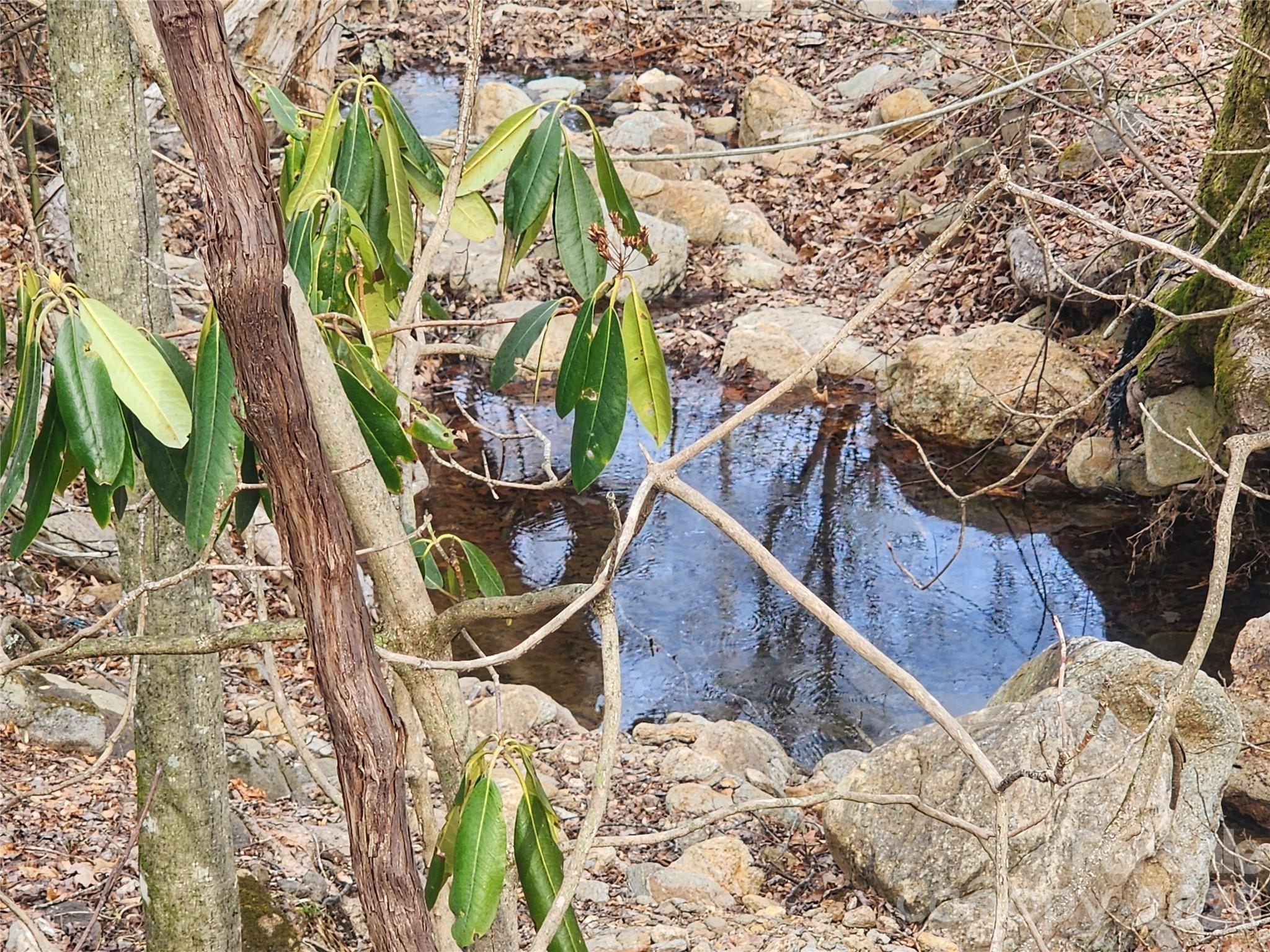 659 Cold Creek Road Canton, NC 28716 - Photo 34 of 37