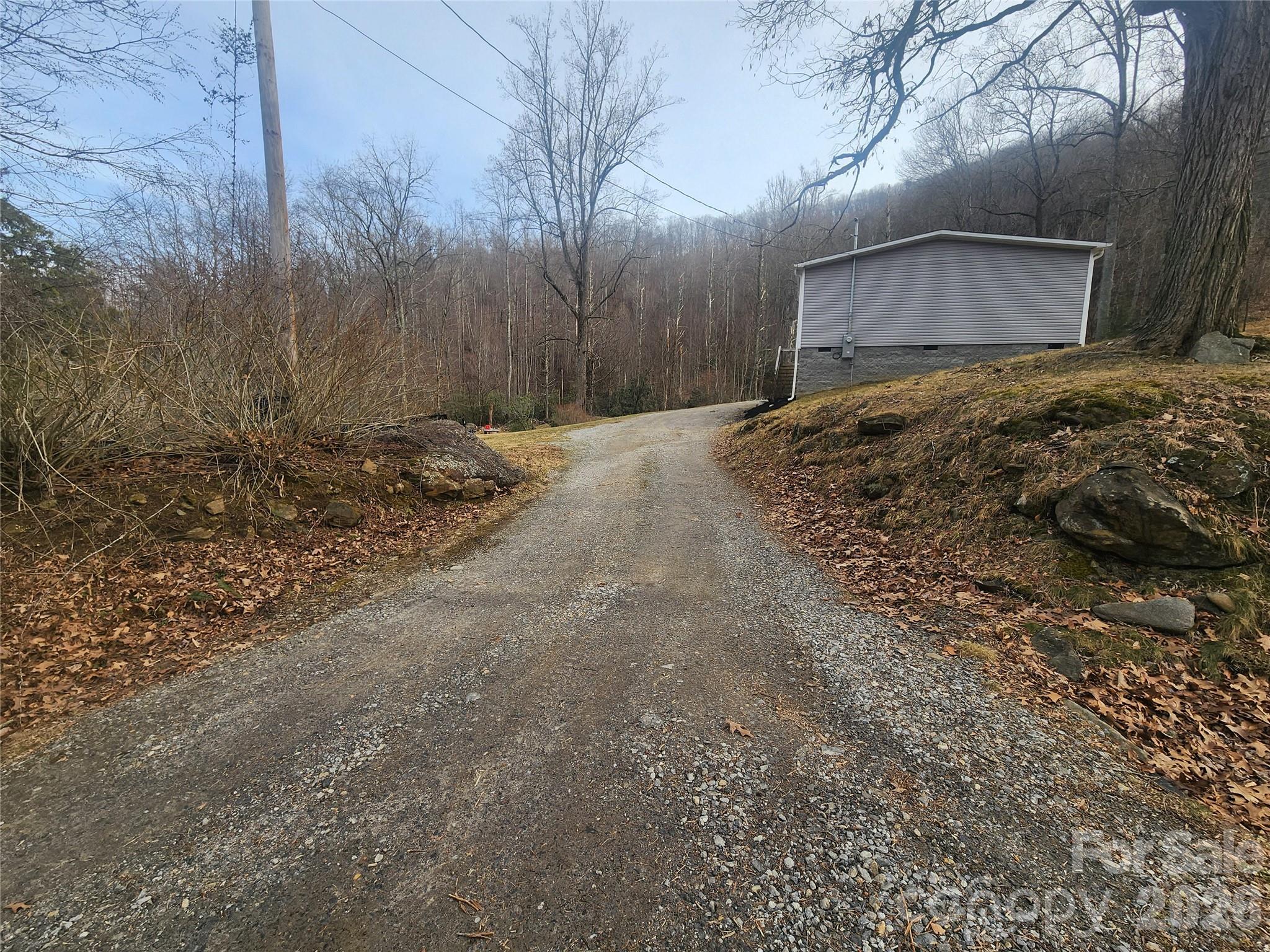 659 Cold Creek Road Canton, NC 28716 - Photo 10 of 37 a view of a yard with a large tree