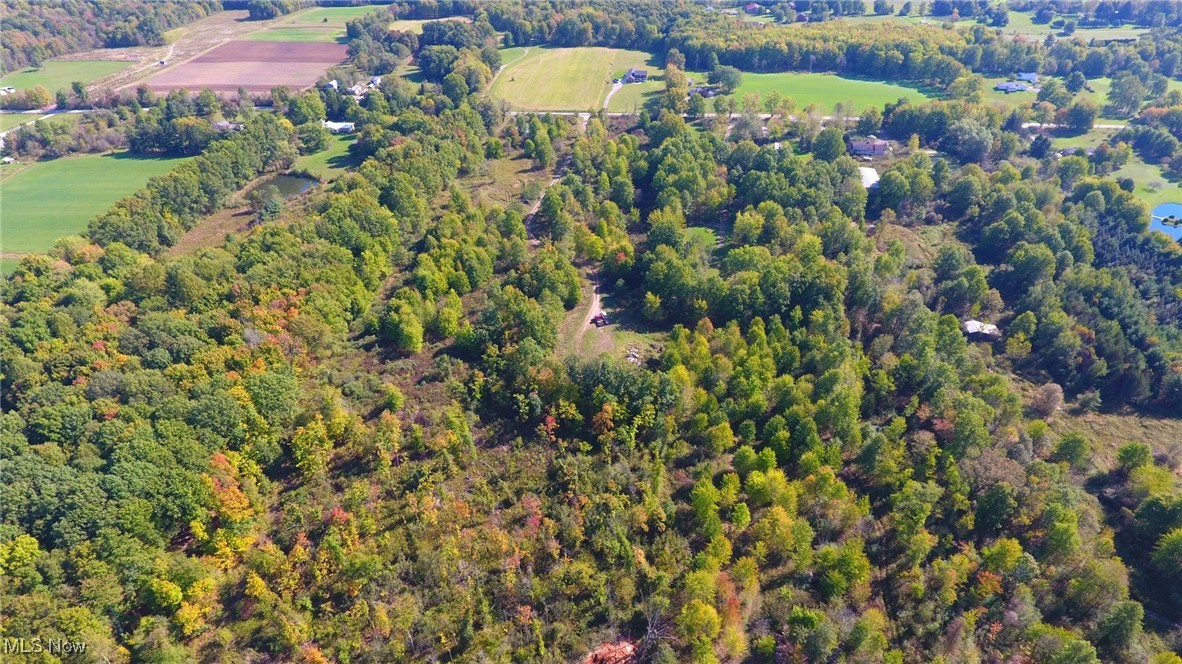 V/l Nichols Road Windham, OH 44288 - Photo 11 of 15 Gallery Image 11