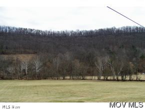 215 Rt 1 (rt 14) Reedy, WV 25270 - Photo 9 of 11