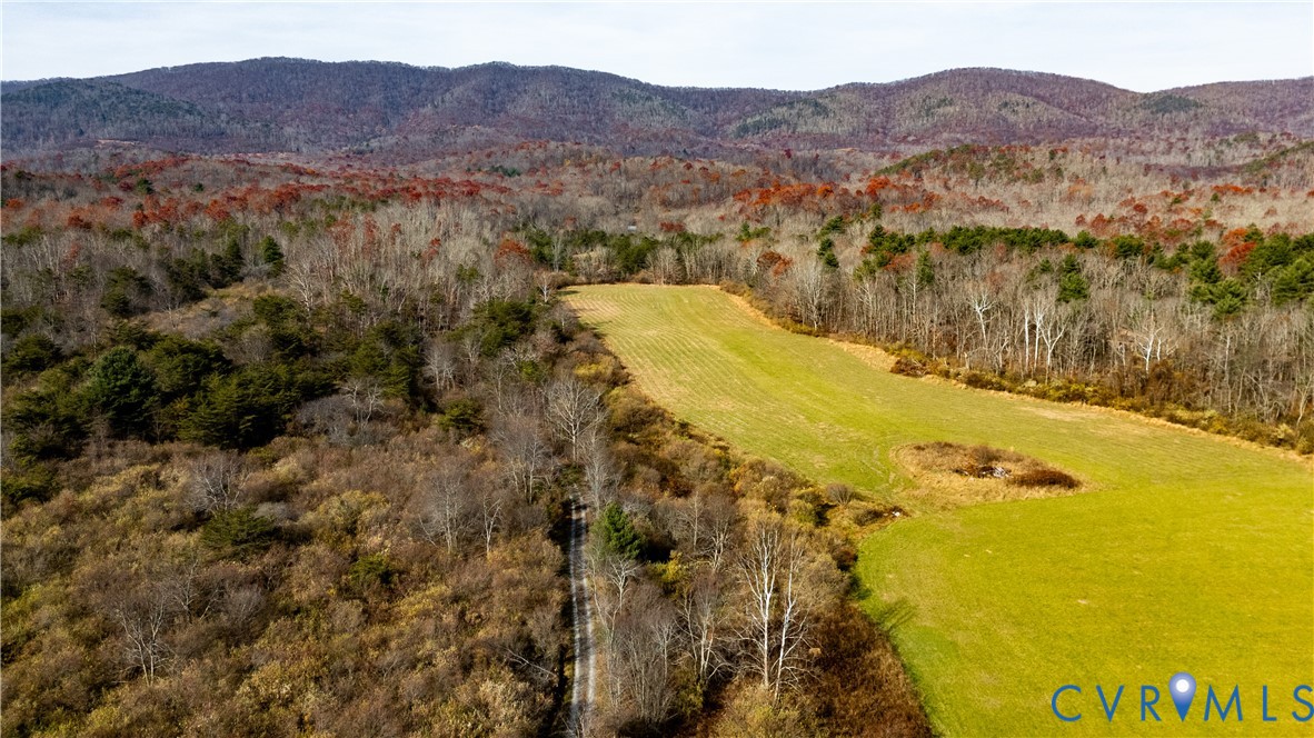 12322 Jackson River Road Monterey, VA 24465 - Photo 19 of 22 Expansive land parcel featuring open fields, woode